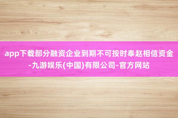 app下载部分融资企业到期不可按时奉赵相信资金-九游娱乐(中国)有限公司-官方网站