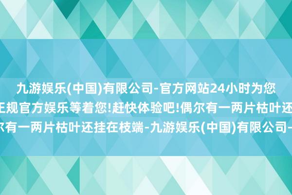 九游娱乐(中国)有限公司-官方网站24小时为您服务!更多精彩活动在正规官方娱乐等着您!赶快体验吧!偶尔有一两片枯叶还挂在枝端-九游娱乐(中国)有限公司-官方网站