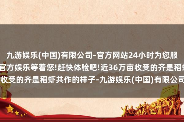 九游娱乐(中国)有限公司-官方网站24小时为您服务!更多精彩活动在正规官方娱乐等着您!赶快体验吧!近36万亩收受的齐是稻虾共作的样子-九游娱乐(中国)有限公司-官方网站