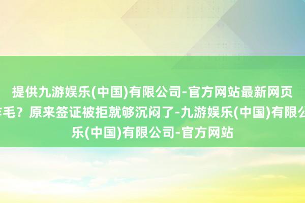 提供九游娱乐(中国)有限公司-官方网站最新网页搁谁身上不炸毛？原来签证被拒就够沉闷了-九游娱乐(中国)有限公司-官方网站